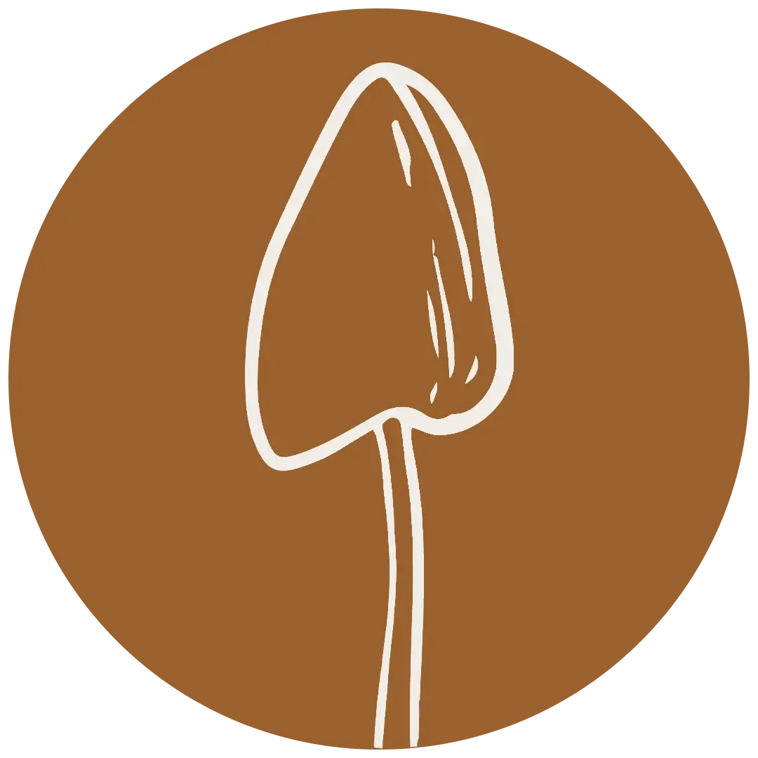 Eco Fungi Logo