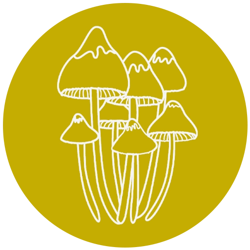 Eco Fungi Logo